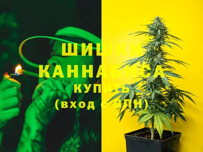 blacksprut как войти  Коряжма  Конопля сатива 